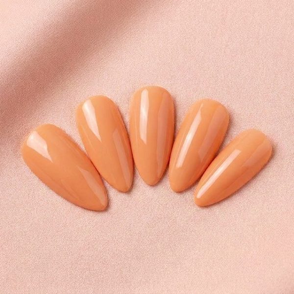 Soft Peach