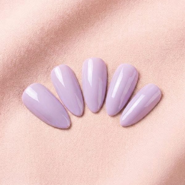 Soft Lavender